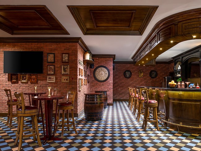 irish harp introduction